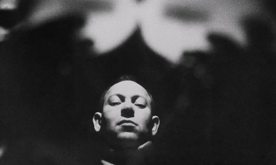 以静制动的庄周梦蝶